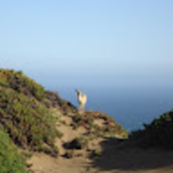 Meet your Posher, Tr - Picture 1 of 1